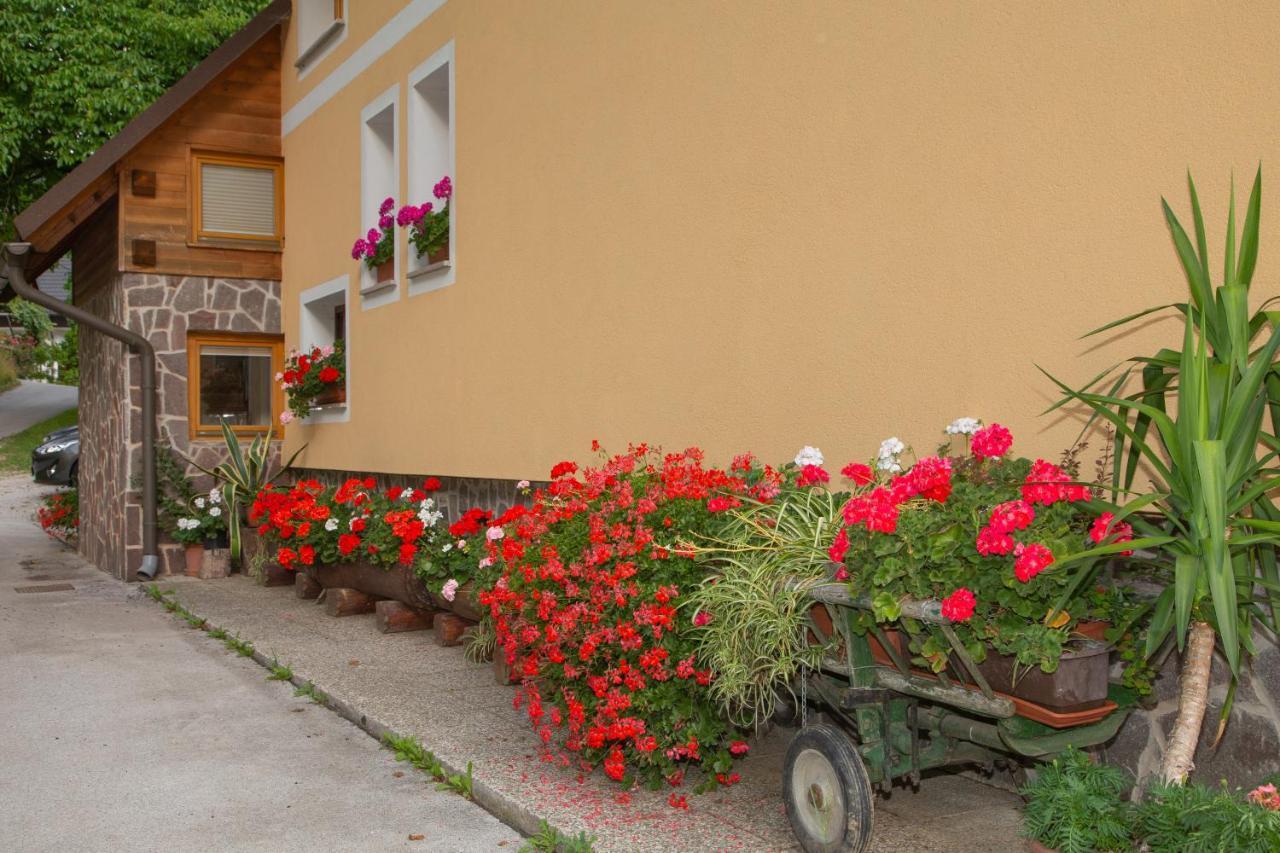 Apartma Erlah Apartman Bohinji-tó Kültér fotó